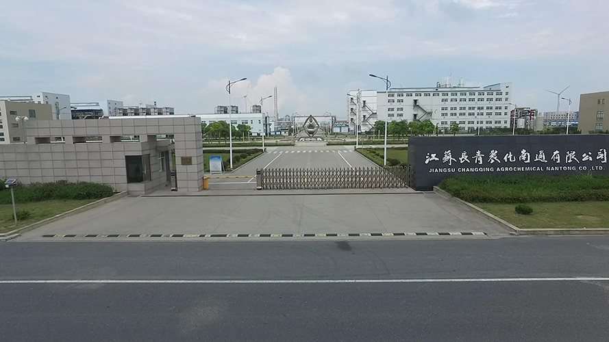 3377体育官网